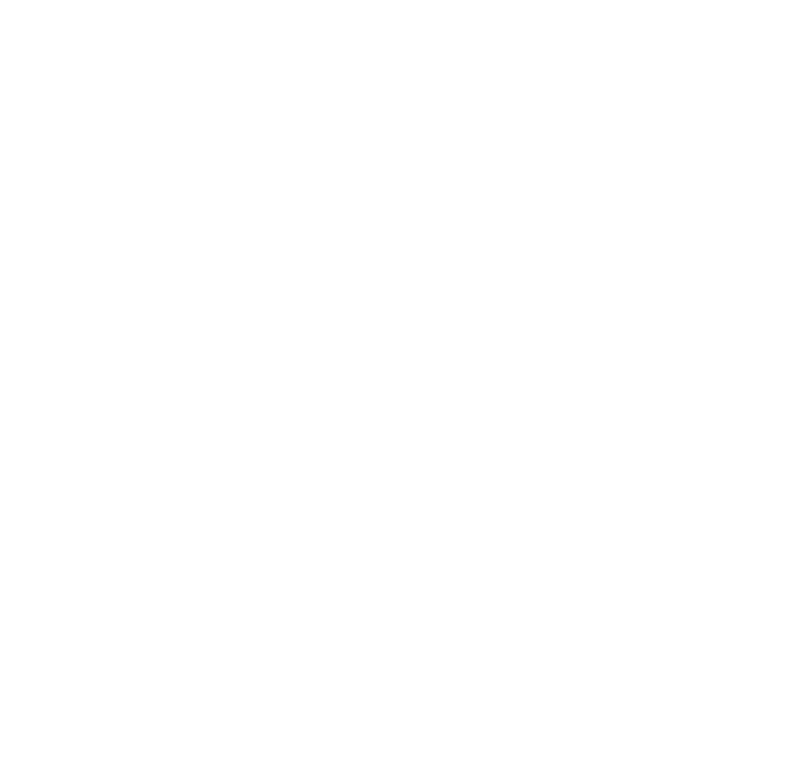 The Fleet · Pelican+